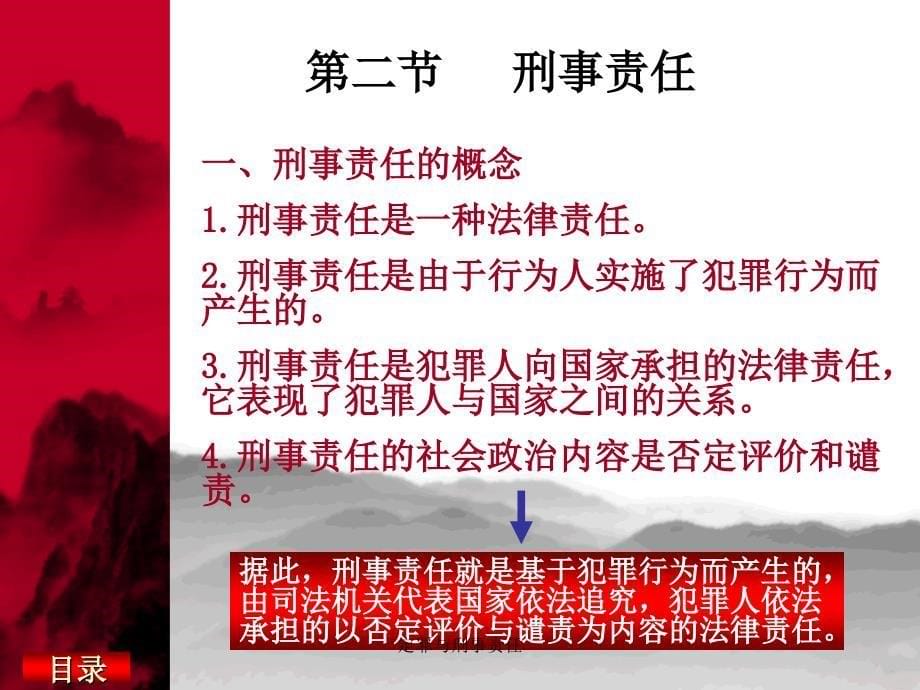 定罪与刑事责任课件_第5页