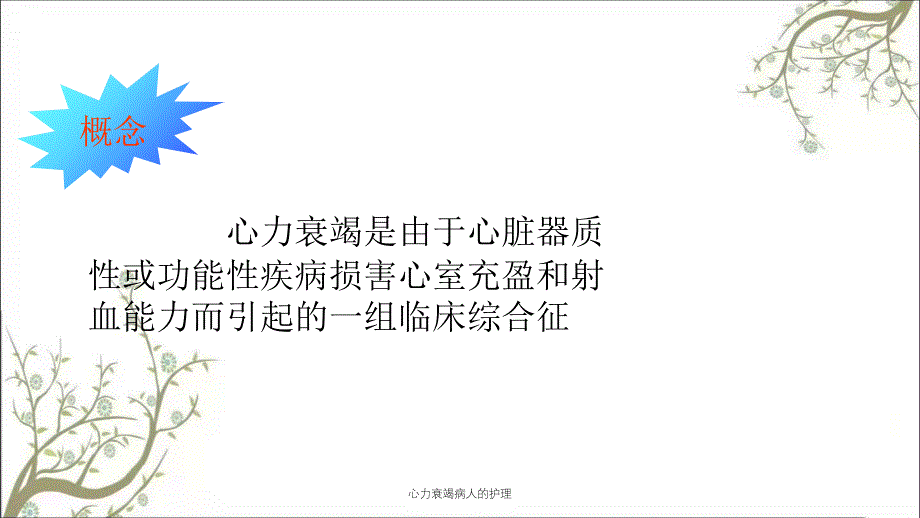 心力衰竭病人的护理_第3页