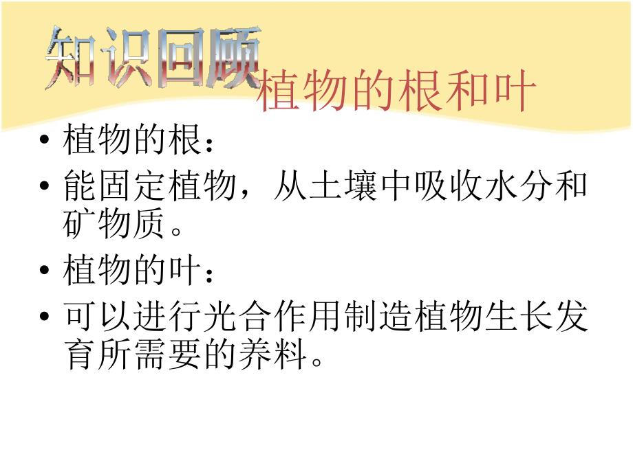 教科版三年级科学下册 茎越长越高 课件_第3页