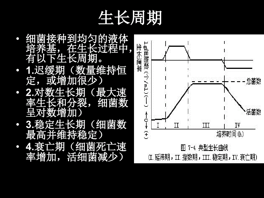 微生物HX课件_第4页