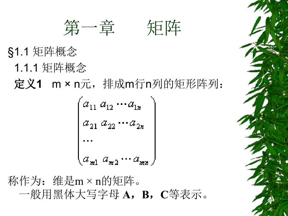 线性代数及应用_第3页