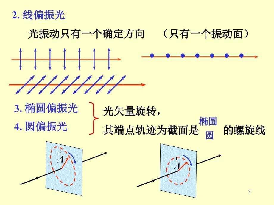 大学物理波动光学七ppt课件_第5页