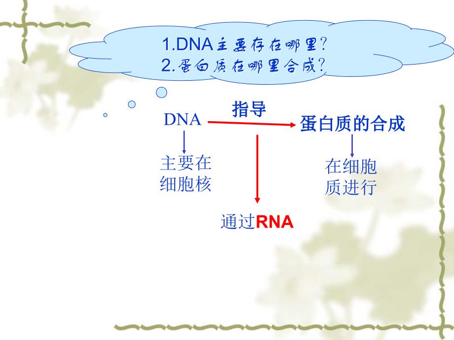 基因指导蛋白质的合成_第4页