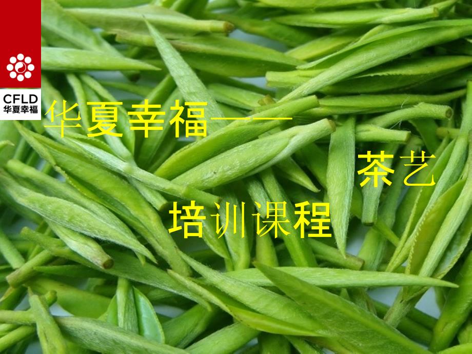 茶艺培训课件_第1页