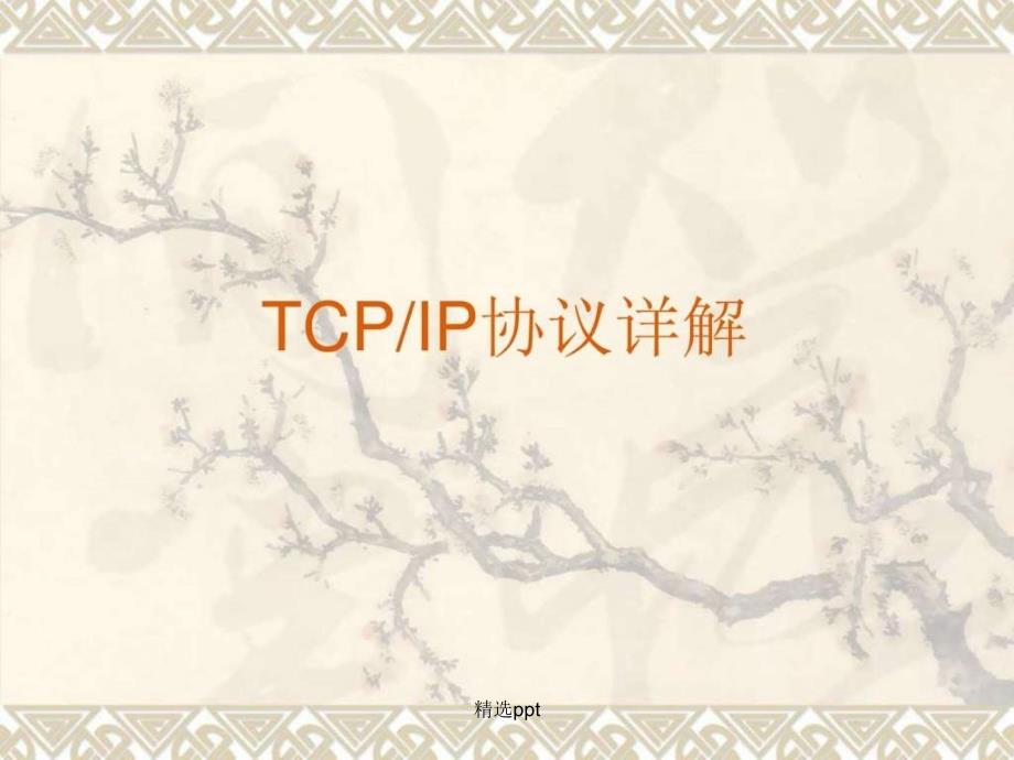 TCPIP协议详解文库_第1页