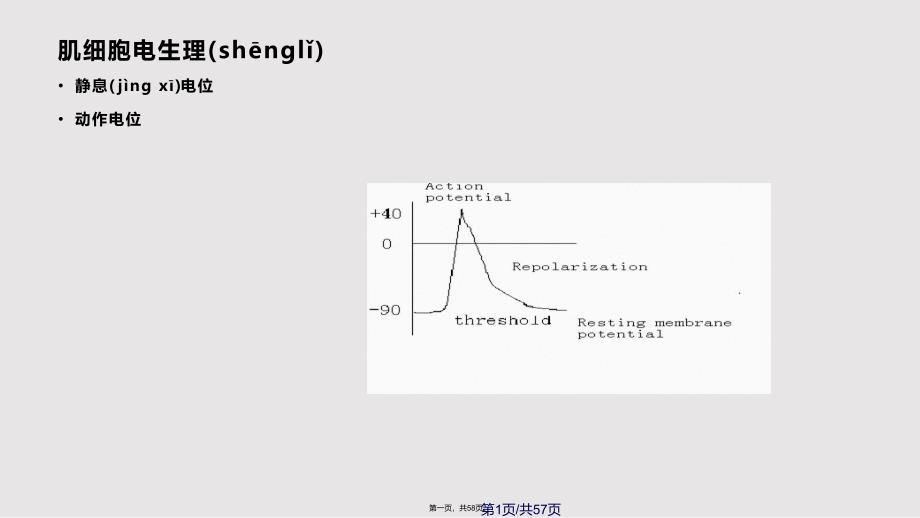 EKG心电生理实用教案_第1页