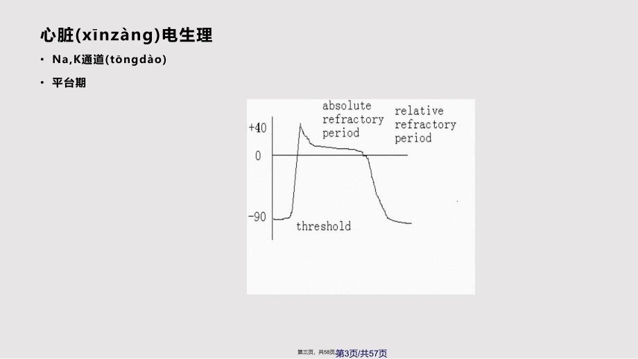 EKG心电生理实用教案_第3页