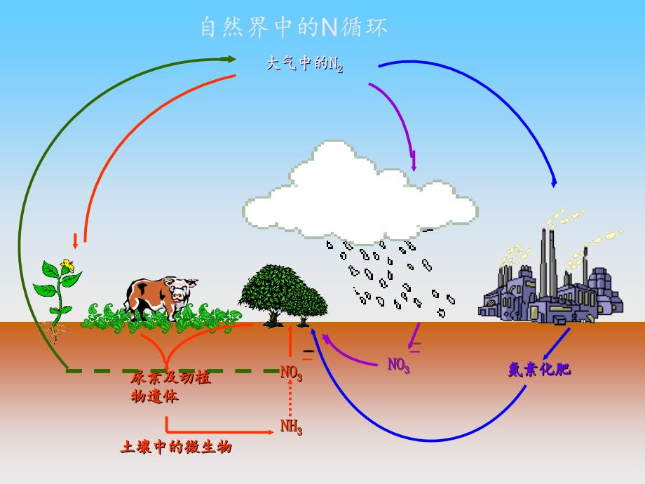 生物固氮原理PowerPoint演示文稿_第2页