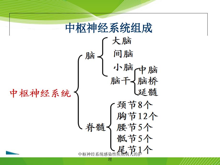 中枢神经系统感染性疾病病人的护理课件_第3页