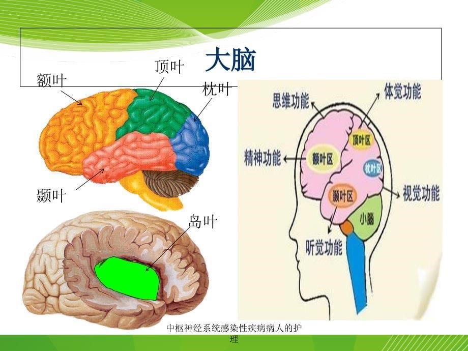 中枢神经系统感染性疾病病人的护理课件_第5页