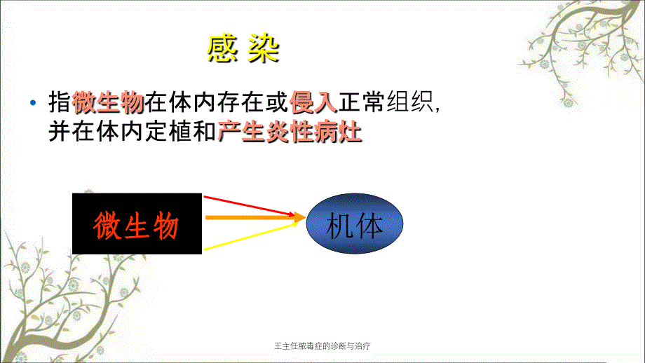 王主任脓毒症的诊断与治疗_第3页