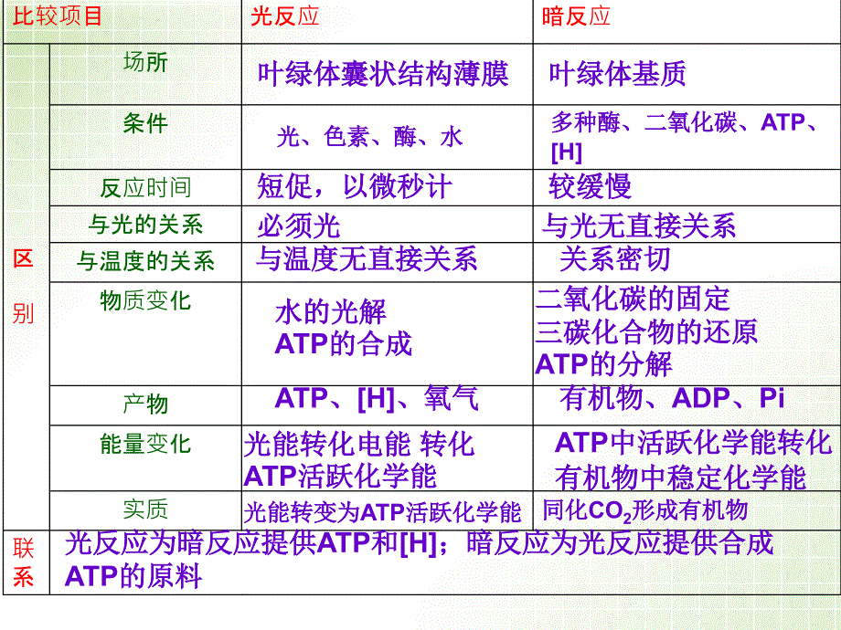 光合作用和呼吸作用_第3页