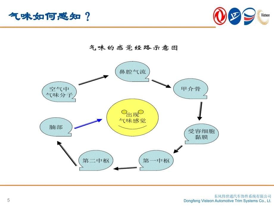 汽车内饰件气味评估培训.ppt_第5页