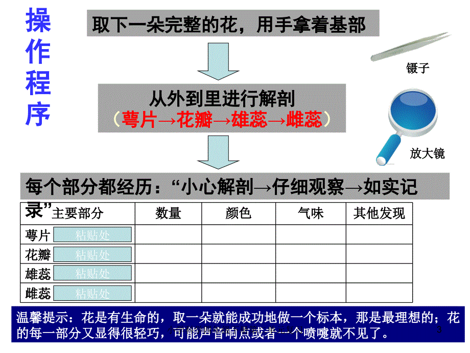 小学科学四年级下册第二单元复习课件_第3页