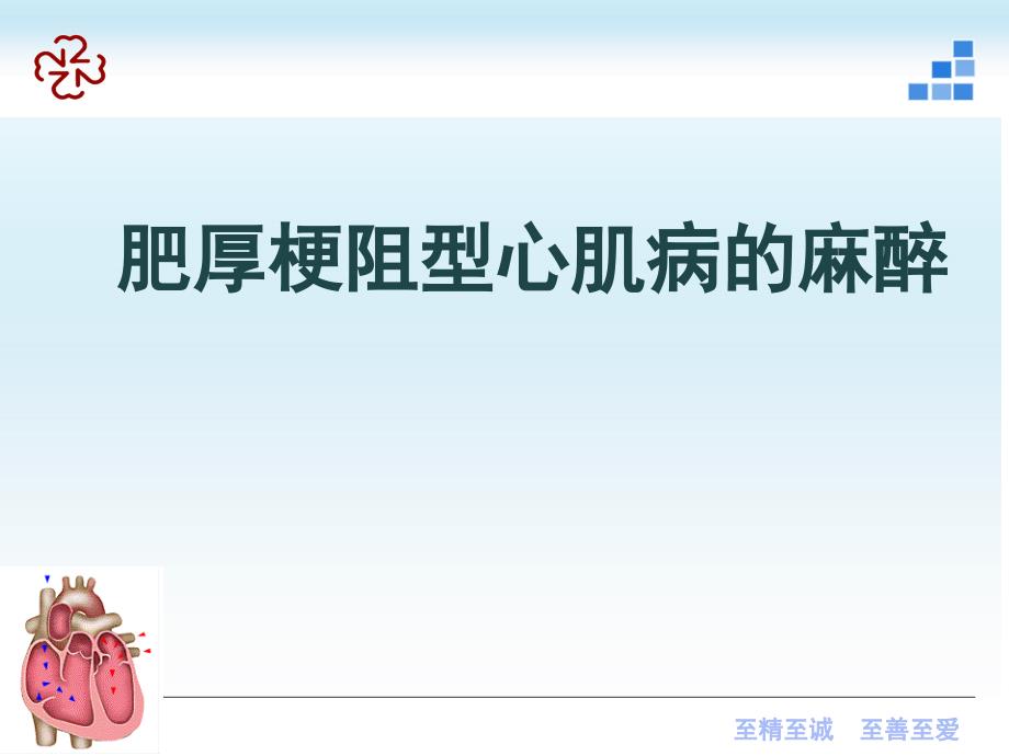 肥厚梗阻型心肌病麻醉处理及注意事项_第1页