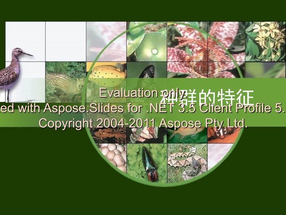 人教版教学课件第四章种群和群落第一节种群的特征.ppt_第1页