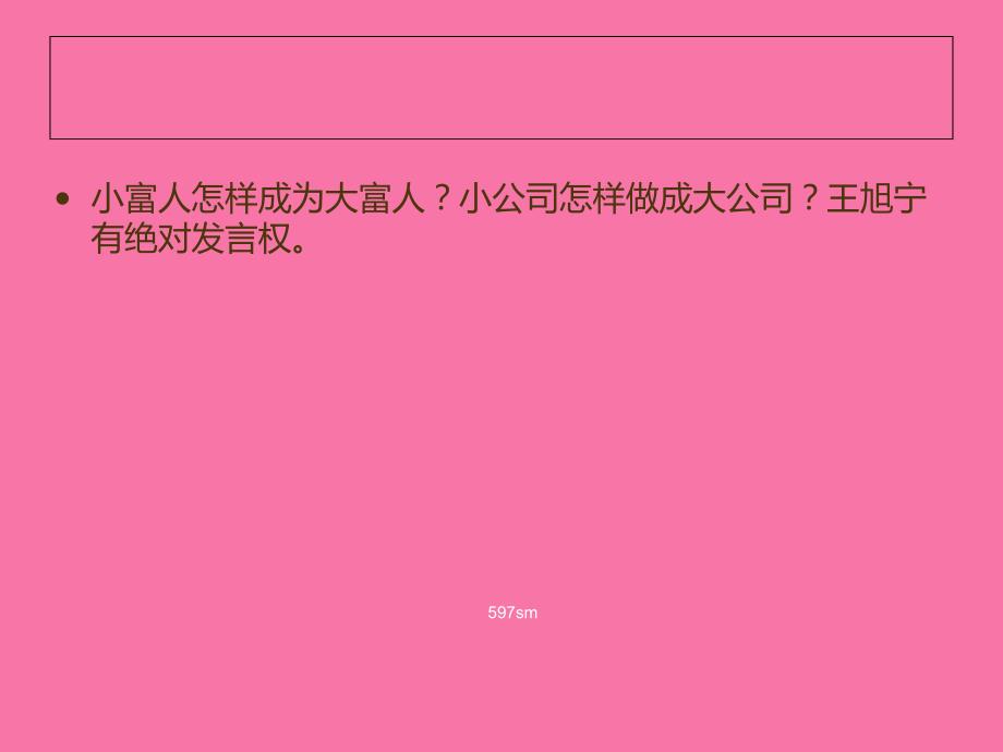 阳市值超海尔董事长王旭宁如何从小做大ppt课件_第2页