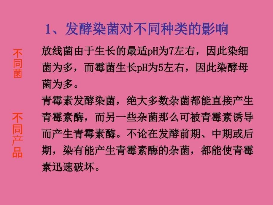 染菌对发酵的影响和控制ppt课件_第5页