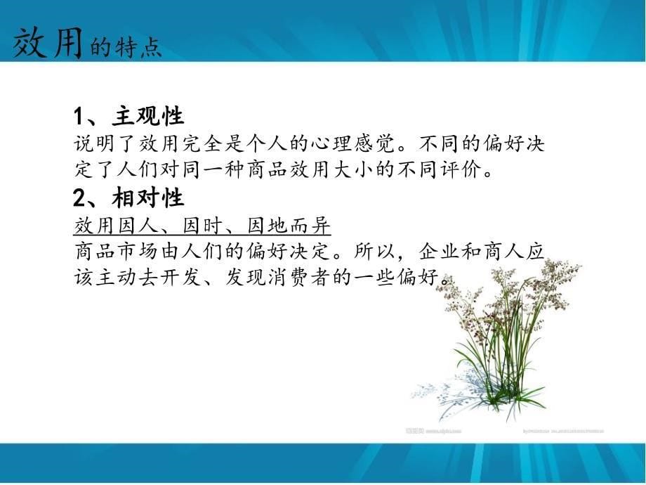 边际效用递减规律.ppt_第5页