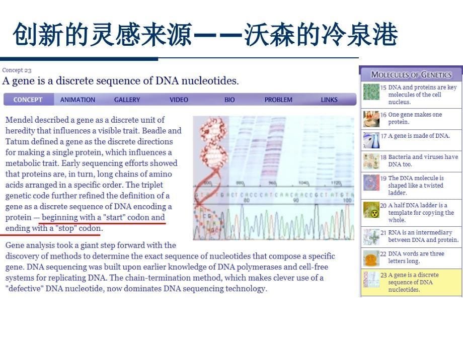 概念教学比赛课件基因是有遗传效应的dna片段_第5页