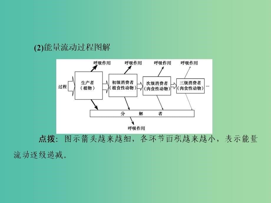 2019届高考生物一轮复习第九单元生物与环境第32讲生态系统的能量流动和物质循环课件新人教版.ppt_第5页