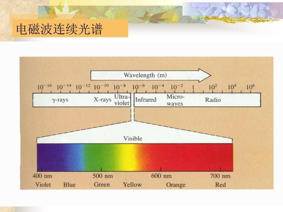 第八章原子结构和元素周期律_第5页