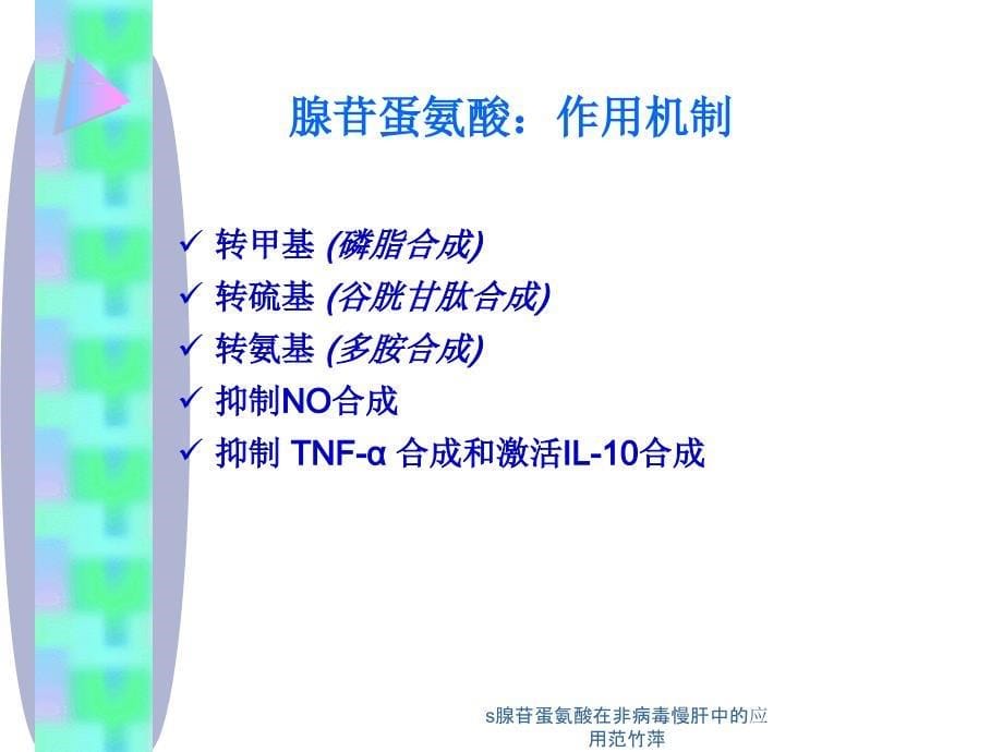 s腺苷蛋氨酸在非病毒慢肝中的应用范竹萍课件_第5页