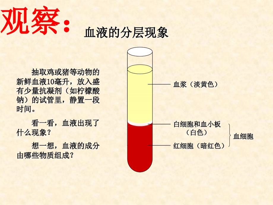 物质运输的载体血液_第3页