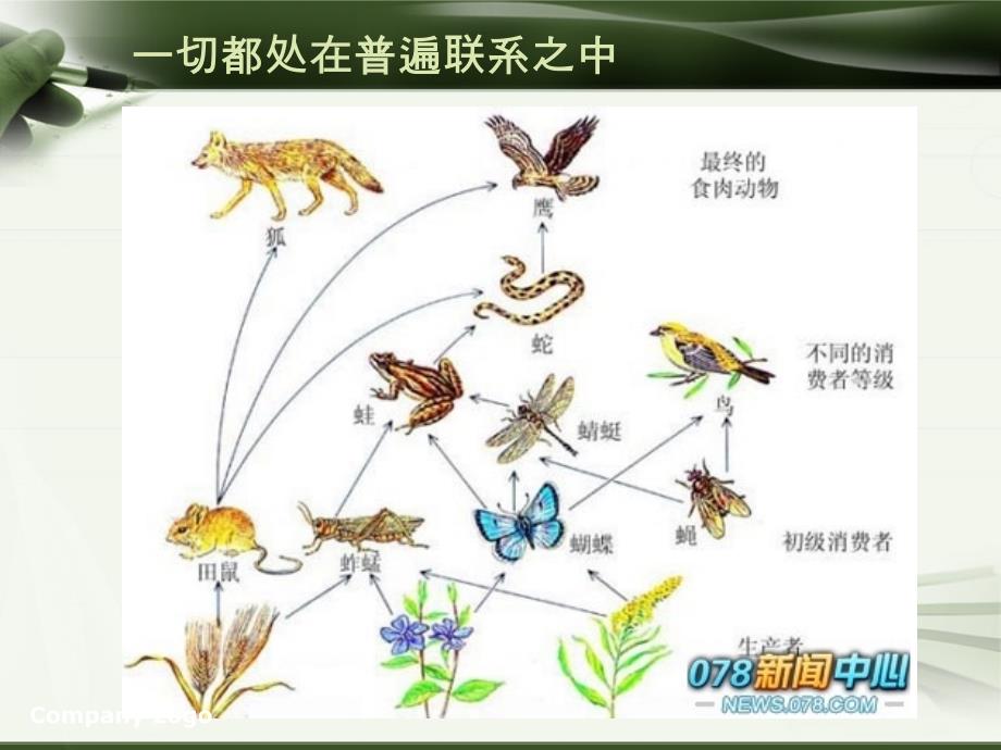 切都处在普遍联系之中.ppt_第2页