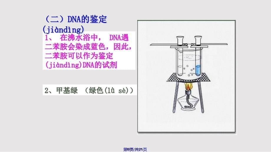 DNA的粗提取与鉴定新人教选修实用教案_第5页