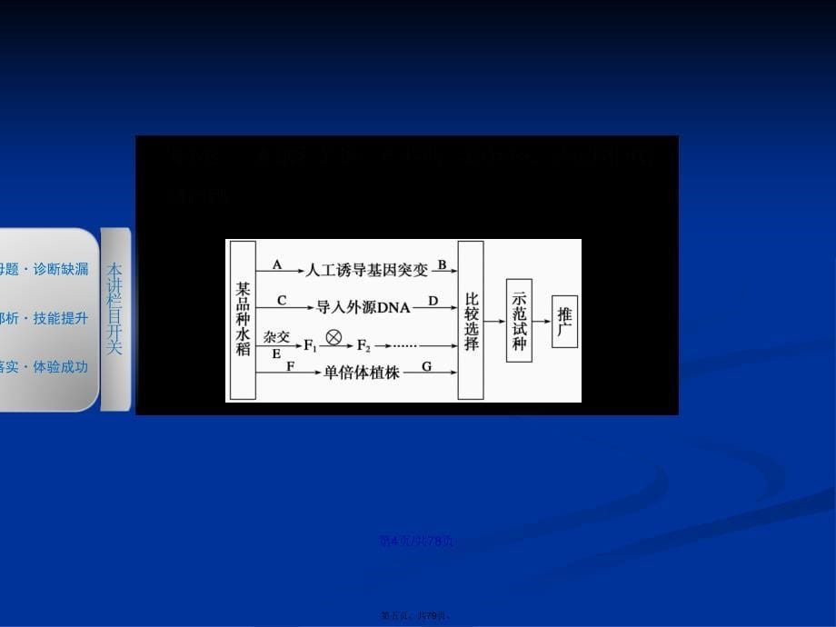 生物二轮专题强化篇学习教案_第5页