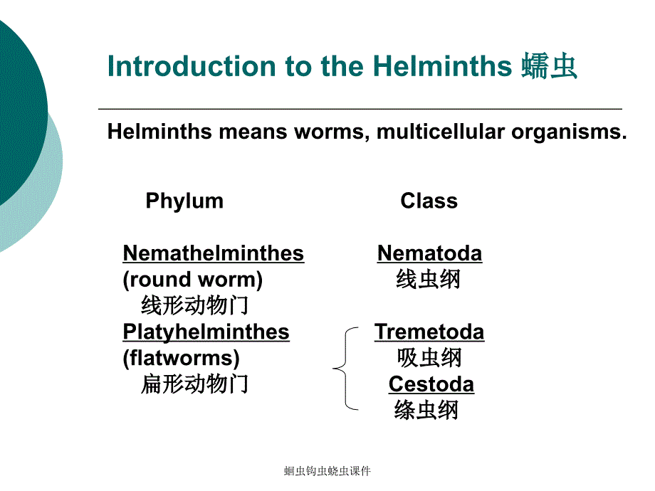 蛔虫钩虫蛲虫课件_第1页