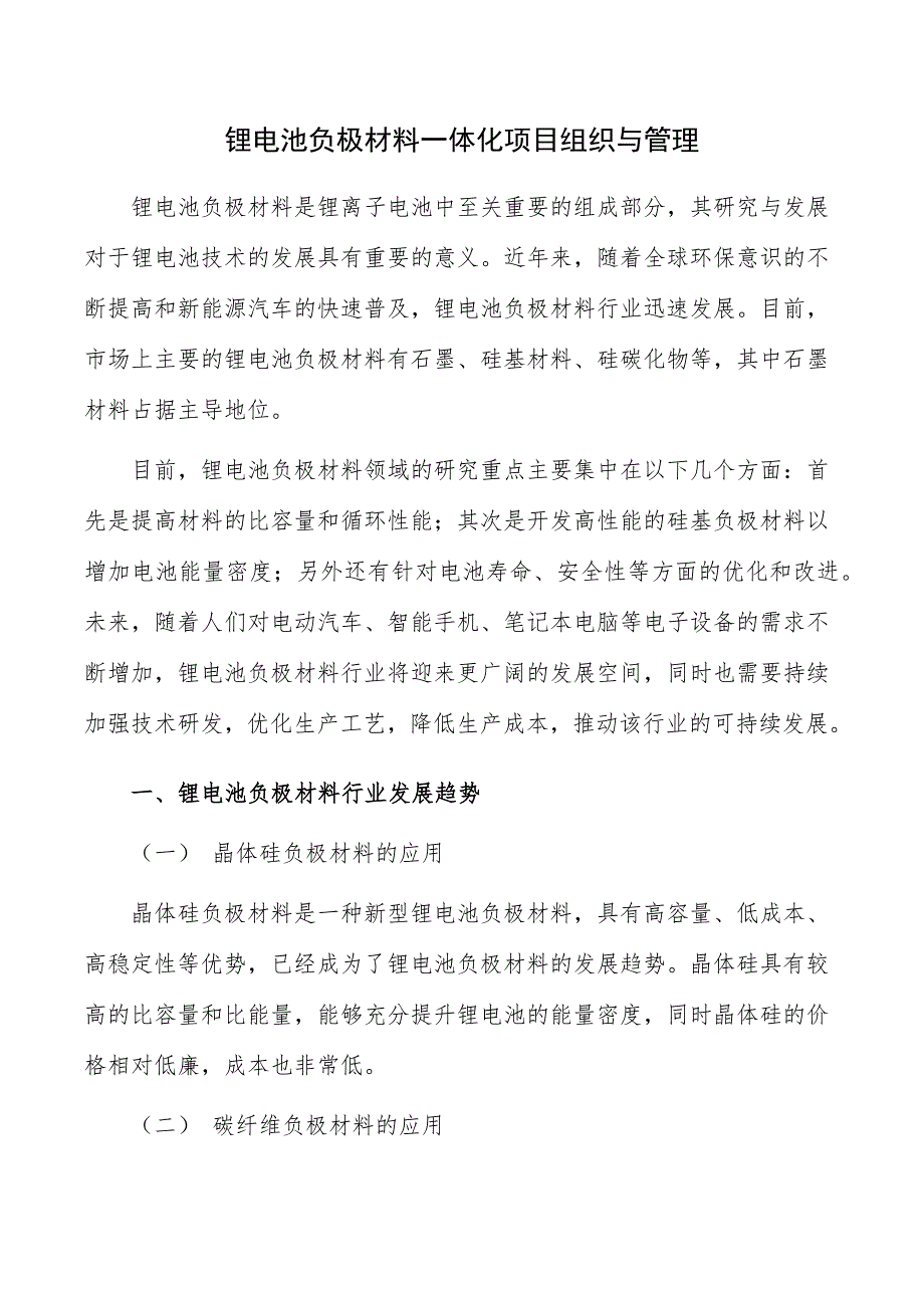 锂电池负极材料一体化项目组织与管理_第1页