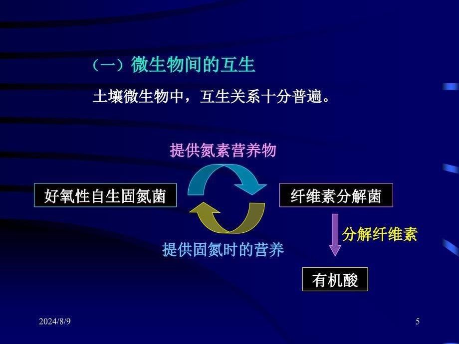 9.2第九章第二节微生物与生物环境间的关系37ppt_第5页