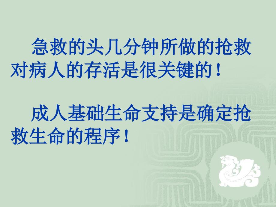 成人基础是生命支持ppt课件_第3页