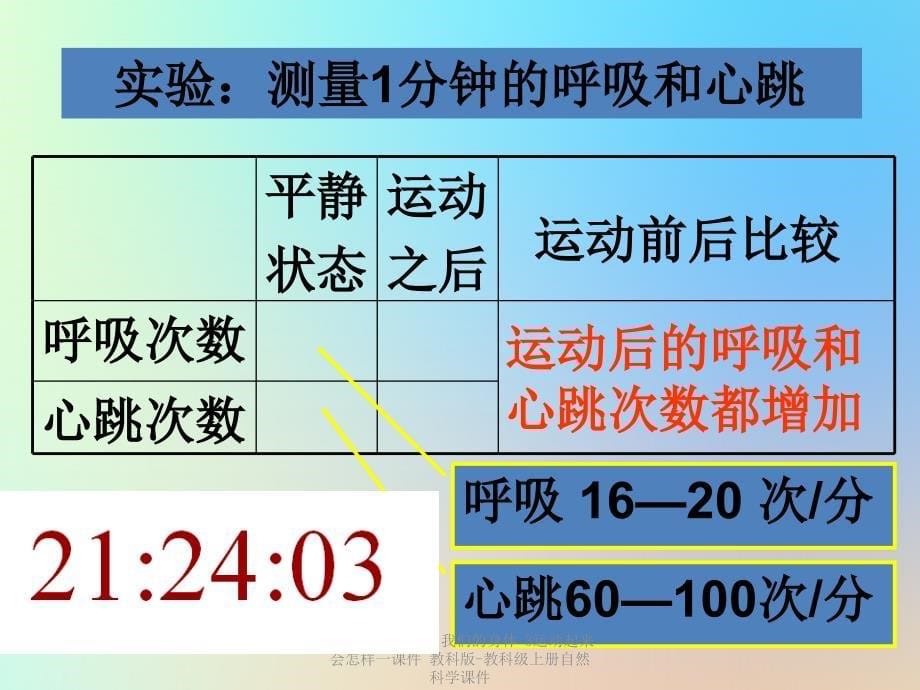 最新四年级科学上册我们的身体3运动起来会怎样一课件_第5页