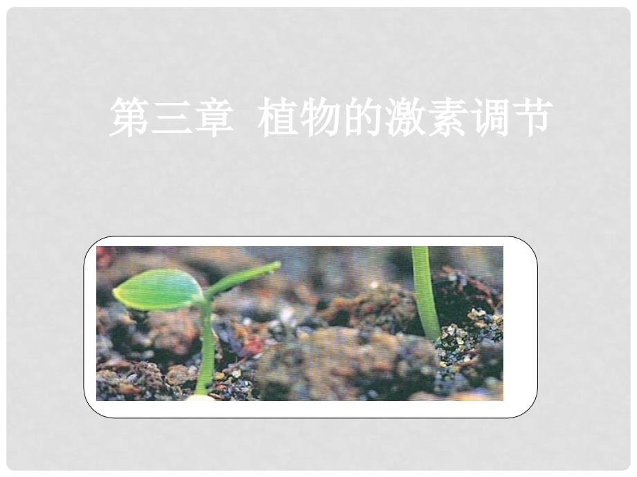 高中生物：3.3《其他植物激素》课件（2）（新人教版必修3）_第1页