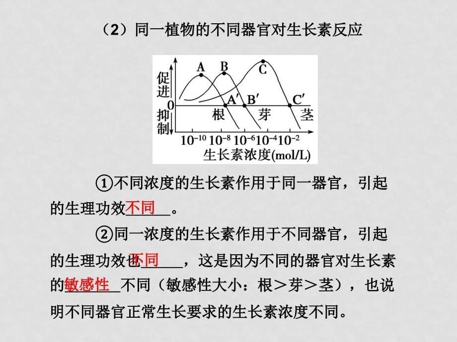 高三生物高考二轮专题复习课件：第一部分 专题突破 专题三 生命活动的调节人教大纲版第一讲植物的激素调节_第5页