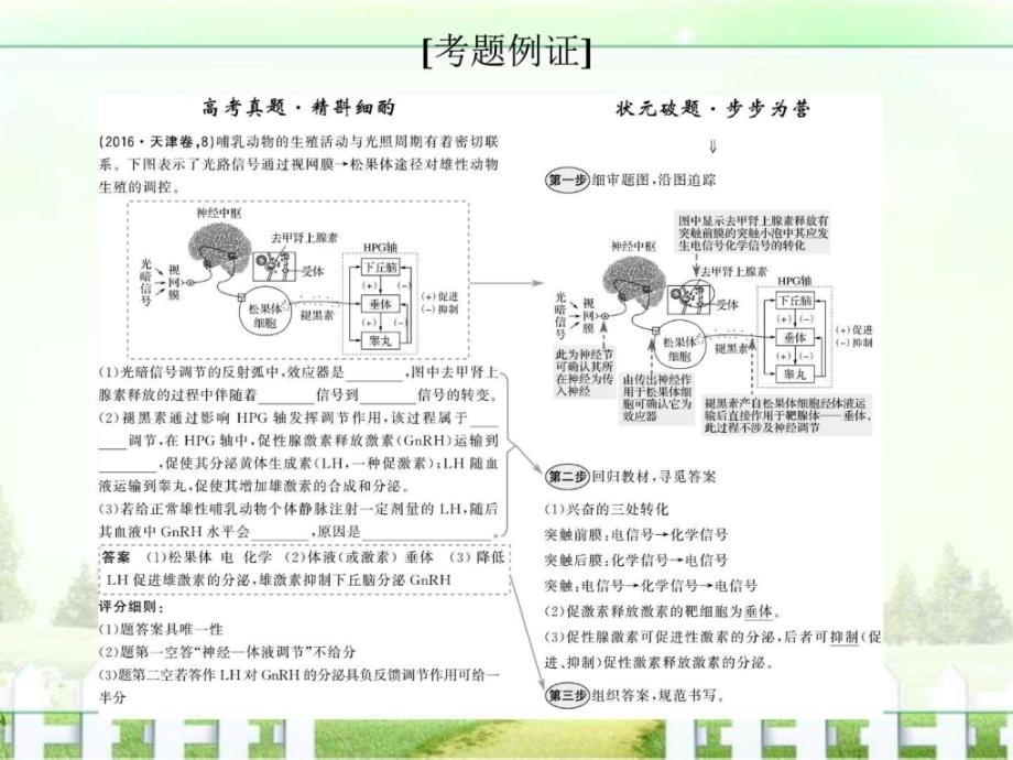 创新设计高考生物二轮复习江苏专用课件非选....ppt_第4页