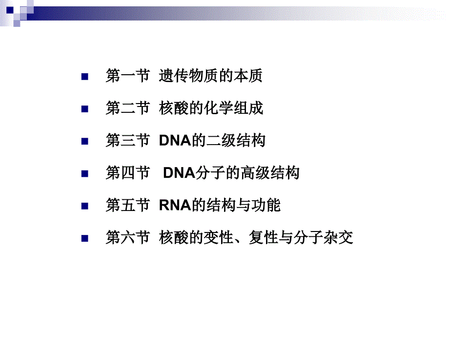 2DNA结构修正_第2页