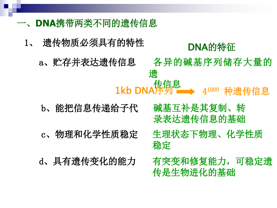 2DNA结构修正_第4页