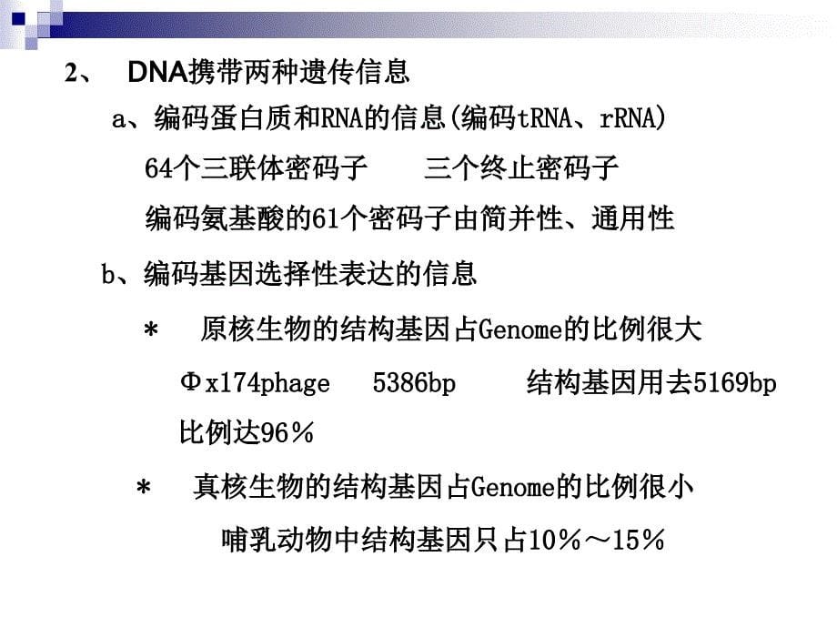 2DNA结构修正_第5页