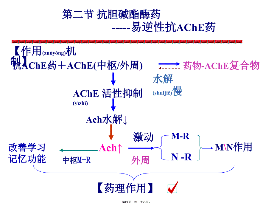 抗AChE药及胆碱受体阻断药课件_第4页