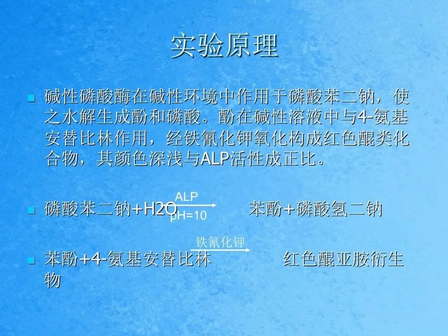 血清碱性磷酸酶活力测定ppt课件_第5页