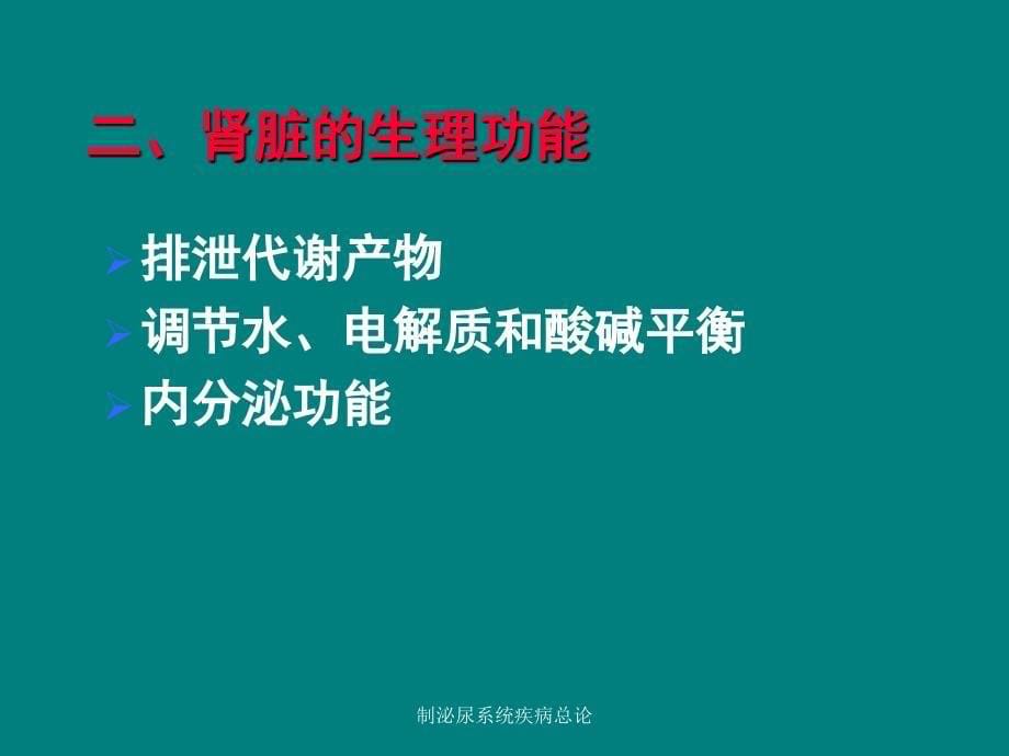 制泌尿系统疾病总论课件_第5页