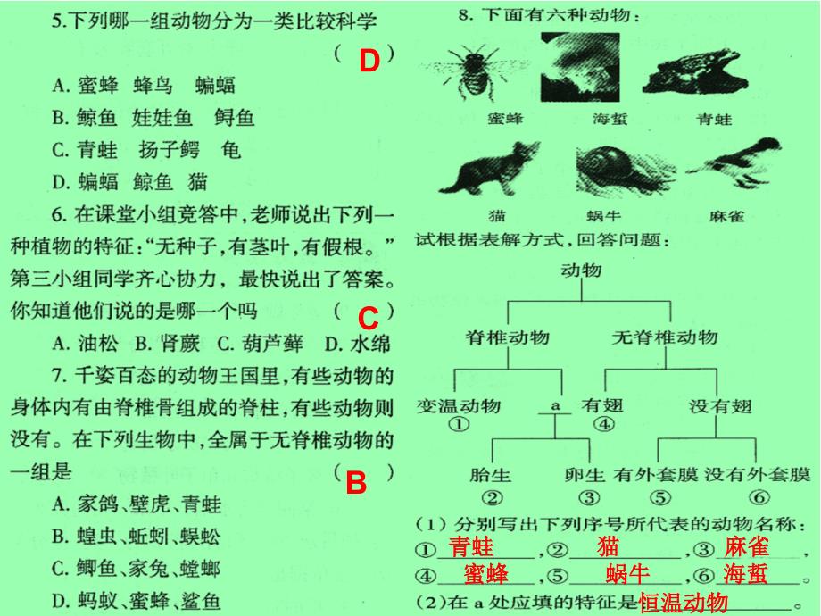 生物分类配套练习分析_第3页