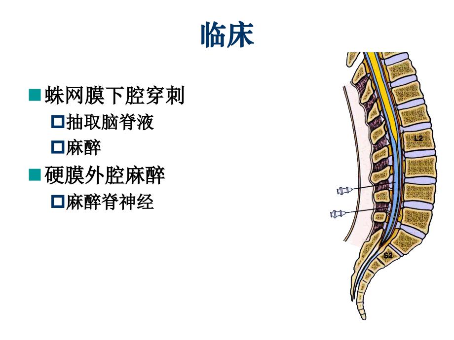 脑膜脑血管脑脊液PPT课件_第4页