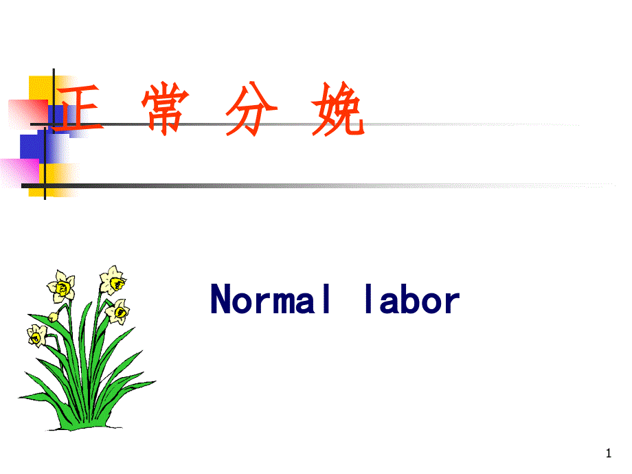 正常分娩妇产科.ppt_第1页