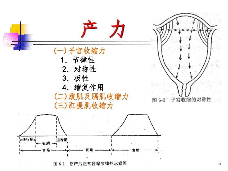 正常分娩妇产科.ppt_第5页