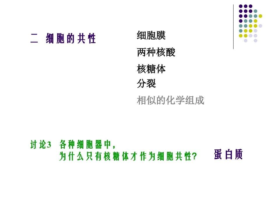 细胞生物学教学课件：第二章 细胞的统一性与多样性_第5页